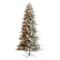 8.5ft. Pre-Lit Flocked Manchester Spruce Artificial Christmas Tree, Warm White Lights